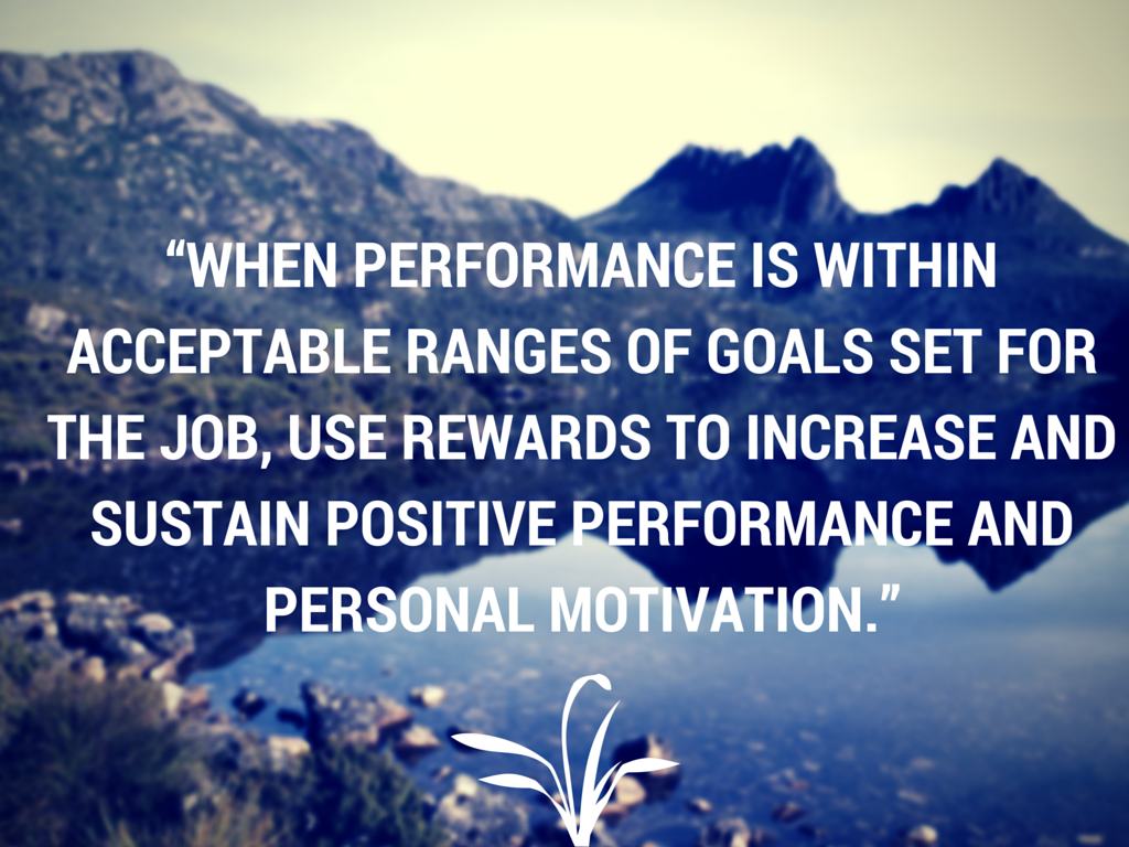 Performance and Motivation