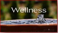 Health and Wellness Coaching