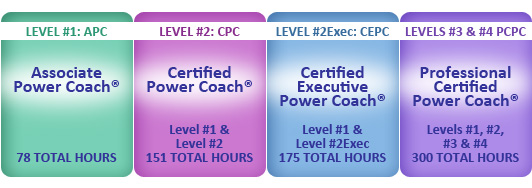 Executive Coach Training