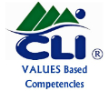CLI - Values Based Profile/Assessment (Delivered via email)