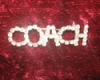 COACH Brooch
